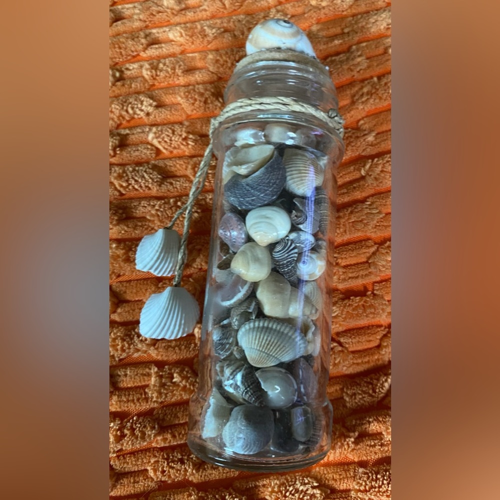 Sea shell decor - Picture 2 of 4